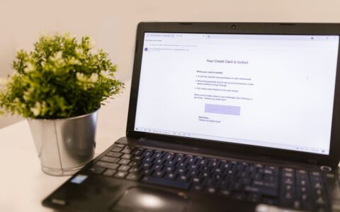 A close-up of a laptop screen showing a credit card security notification next to a potted plant.