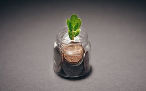 Green plant growing from a jar filled with coins, symbolizing financial growth and investment.